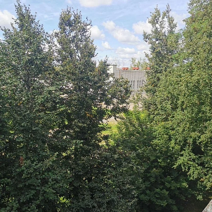 44 м², 2-комнатная квартира