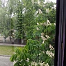 56 м², 3-комнатная квартира