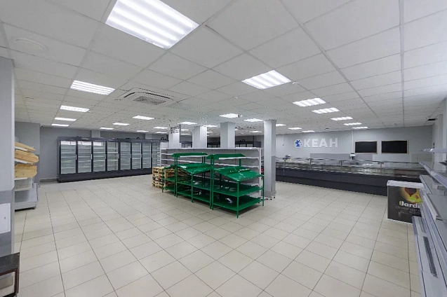 288.9 м², свободного назначения