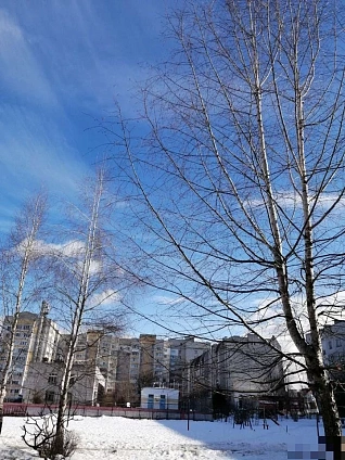 86 м², 2-комнатная квартира
